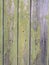 Old grunge vintage background: color wood surface with gray green paint flaking