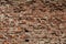 Old grungy background of a brick wall texture