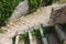 Old grungy stone stairs with grass