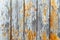 Old grungy and weathered white grey and yellow painted wooden wall plank texture background weathered by elements