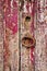 Old grungy wooden door with peeling paint and door-handle