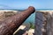 The old guns on the walls of the Portuguese fortress of El Jadida (Mazagan). Morocco, Africa