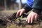 An old hand of active senior pulling out weed of his huge botanic garden, clearing, doing properly, hard work, gardening