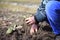 An old hand of active senior pulling out weed of his huge botanic garden, clearing, doing properly, hard work, gardening