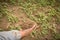 Old hand gardener holding manure