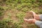 Old hand gardener holding manure