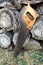 Old handsaw resting on a pile of wooden lumber