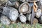 Old handsaw resting on a pile of wooden lumber