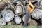 Old handsaw resting on a pile of wooden lumber trunks