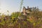 The old Hanstein Castle near Rimbach/Bornhagen in Germany. One of Germany biggest castle ruins in the Eichsfeld.