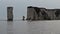 Old Harry rocks