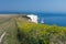 Old Harry Rocks and Wildflowers