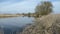 Old havel river part in havelland Germany. willow tree and dry reed.