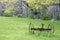 Old Hayrake 2 - rusted, in a field in Spring