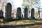 Old headstones backlight on late winter day