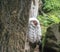 Old hermit peeks behind rock.