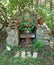 Old historic Barbecue with Begonias in planter