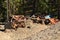 Old historic cars sits on the side of a mountan buried in mine tailings