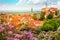 Old Historic European Town with castle, clock and flowers