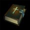 Old Holy Bible book icon
