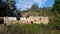 Old homestead/nursery building ruins