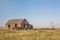 Old homestead on prairie