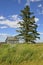 Old homestead on the prairie