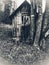 Old homestead shed. Standing very strong aside a growing tree