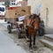 Old horse cart