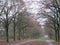 An old horse riding path in the Parc Floral De Paris, Paris