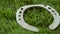 Old horseshoe on artificial grass