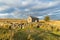 An Old House on Dartmoor