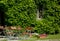 Old house  with green overgrown ivy and cafe tables