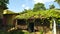 Old House and Green Trees and Creepers.