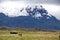 Old house and horses below a glacier capped volcano in the Antisana Ecological Reserve, Ecaudor