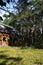 An old house in the Northern pine forest