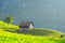 Old house, old building, historical architecture, traditional alps house on green scenery, old house. Wooden vintage