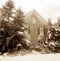 Old House and Pine Trees in Winter, Sepia