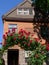 Old house with rose arbor