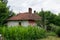 Old house in the village and garden with sunflowers and maize plants on summer day