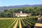 Old house and vineyard in the region of Luberon, France