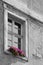 Old house window with flowers.