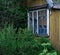 old house window green leaves buds tree