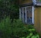 old house window village garden green leaves bush