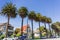 Old houses and palm trees on a street in downtown San Jose, California