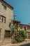 Old houses with stone wall and flowered bushes