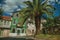 Old houses with worn facade and palm tree