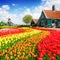 Old houses of Zaanse Schans, Netherlands