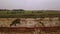 Old Hunstanton cliffs on a foggy December day