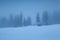 Old hut in foggy alpine forest